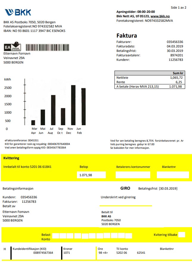 Norway BKK electricity utility bill template in Word and PDF format, good for address prove
